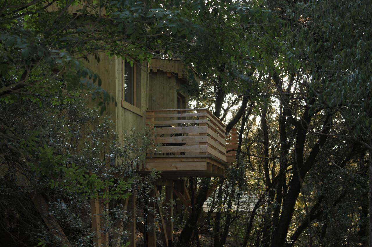 Les Cabanes Dans Les Bois Logis Hotel Villedubert Cameră foto