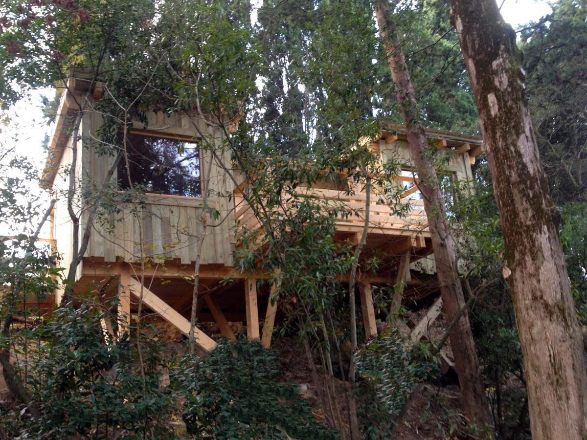 Les Cabanes Dans Les Bois Logis Hotel Villedubert Cameră foto