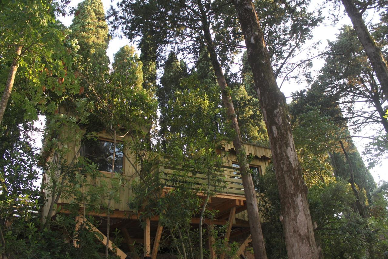 Les Cabanes Dans Les Bois Logis Hotel Villedubert Cameră foto