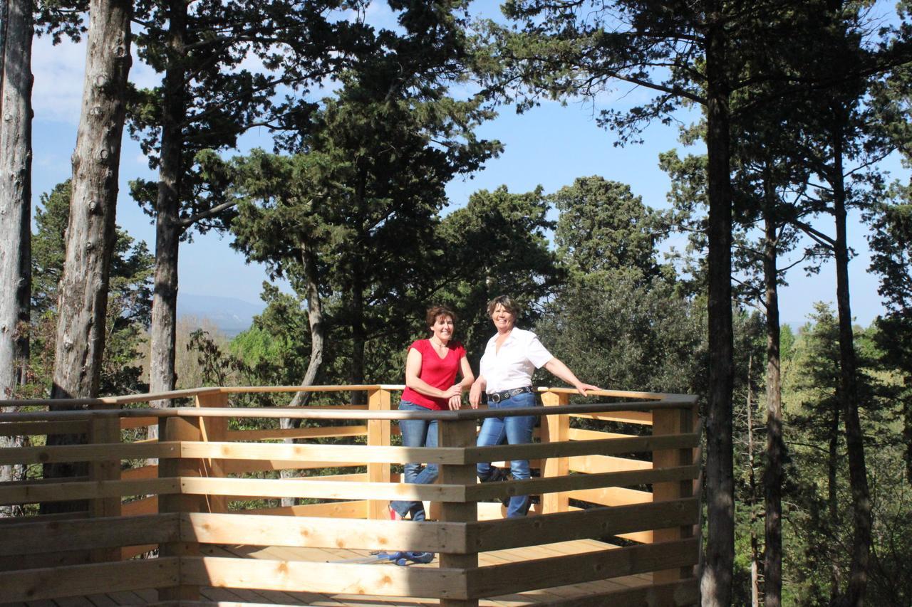 Les Cabanes Dans Les Bois Logis Hotel Villedubert Exterior foto