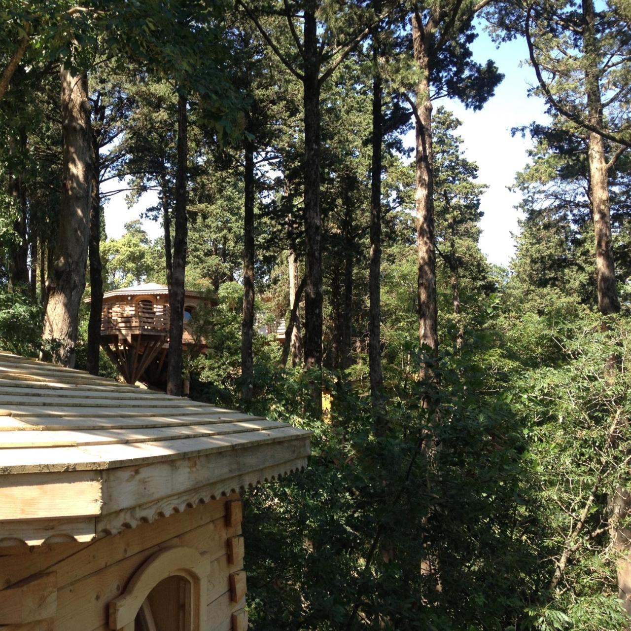 Les Cabanes Dans Les Bois Logis Hotel Villedubert Exterior foto